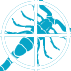 pest-control-services Pest Control Services Anthem